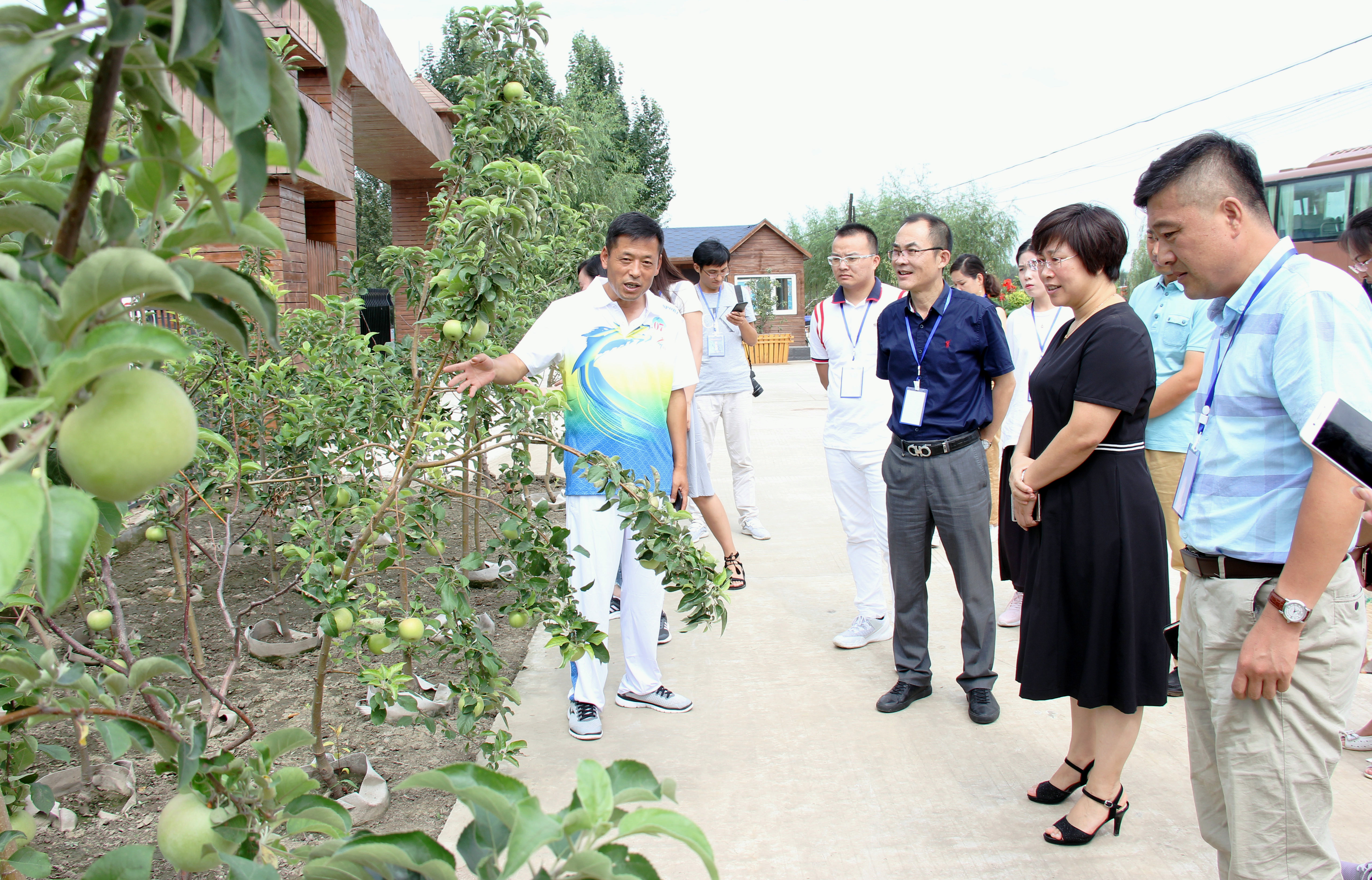 肇源县百果庄园负责人向媒体记者介绍盆栽苹果树销售情况.jpg