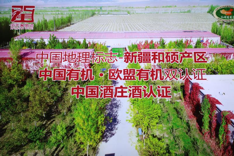 和硕县佰年酒庄送选的两款葡萄酒斩获一金一银 道尔利摄 (4).jpg