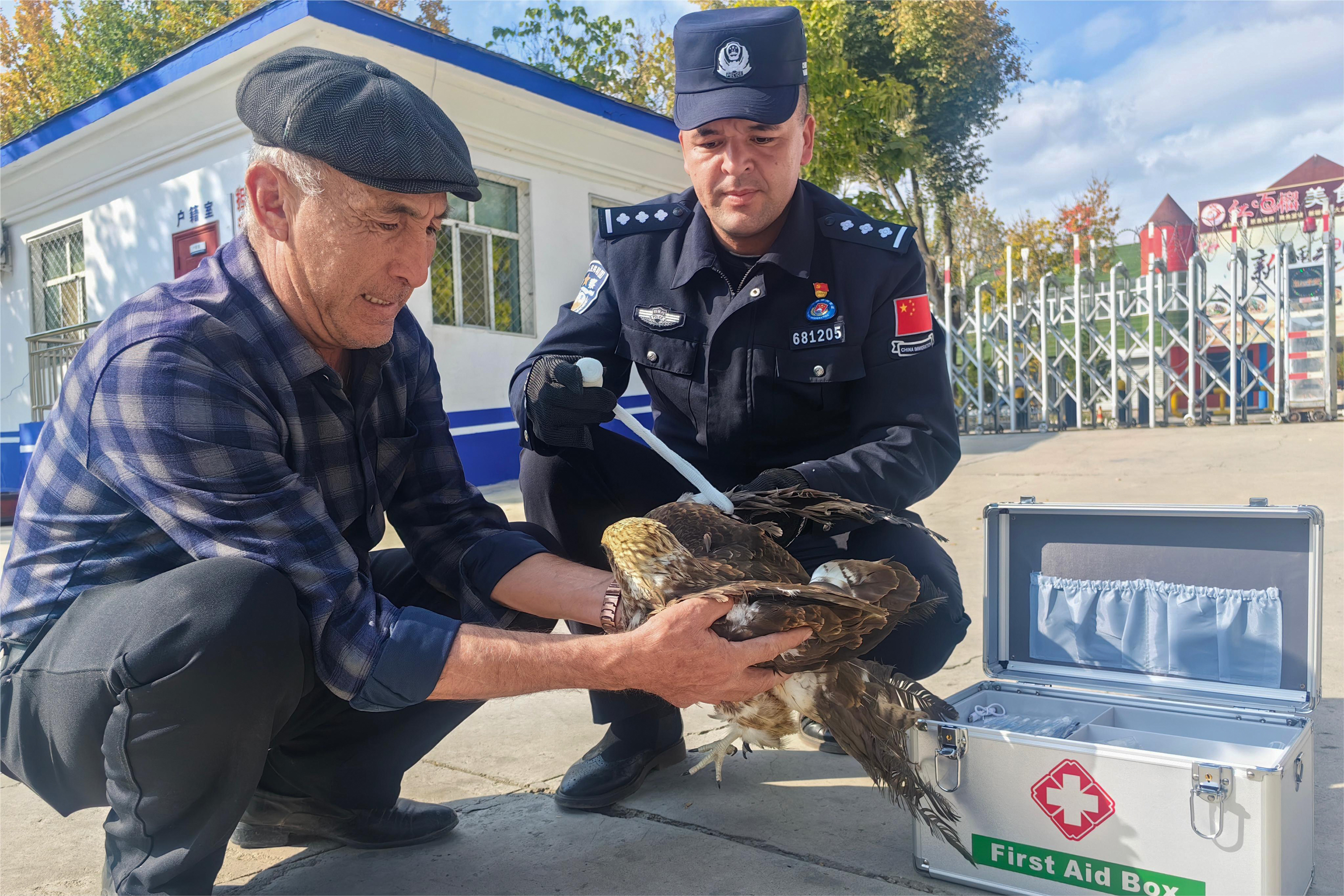 图二：警民联合救助国家二级保护动物“鵟鹰”。.jpg