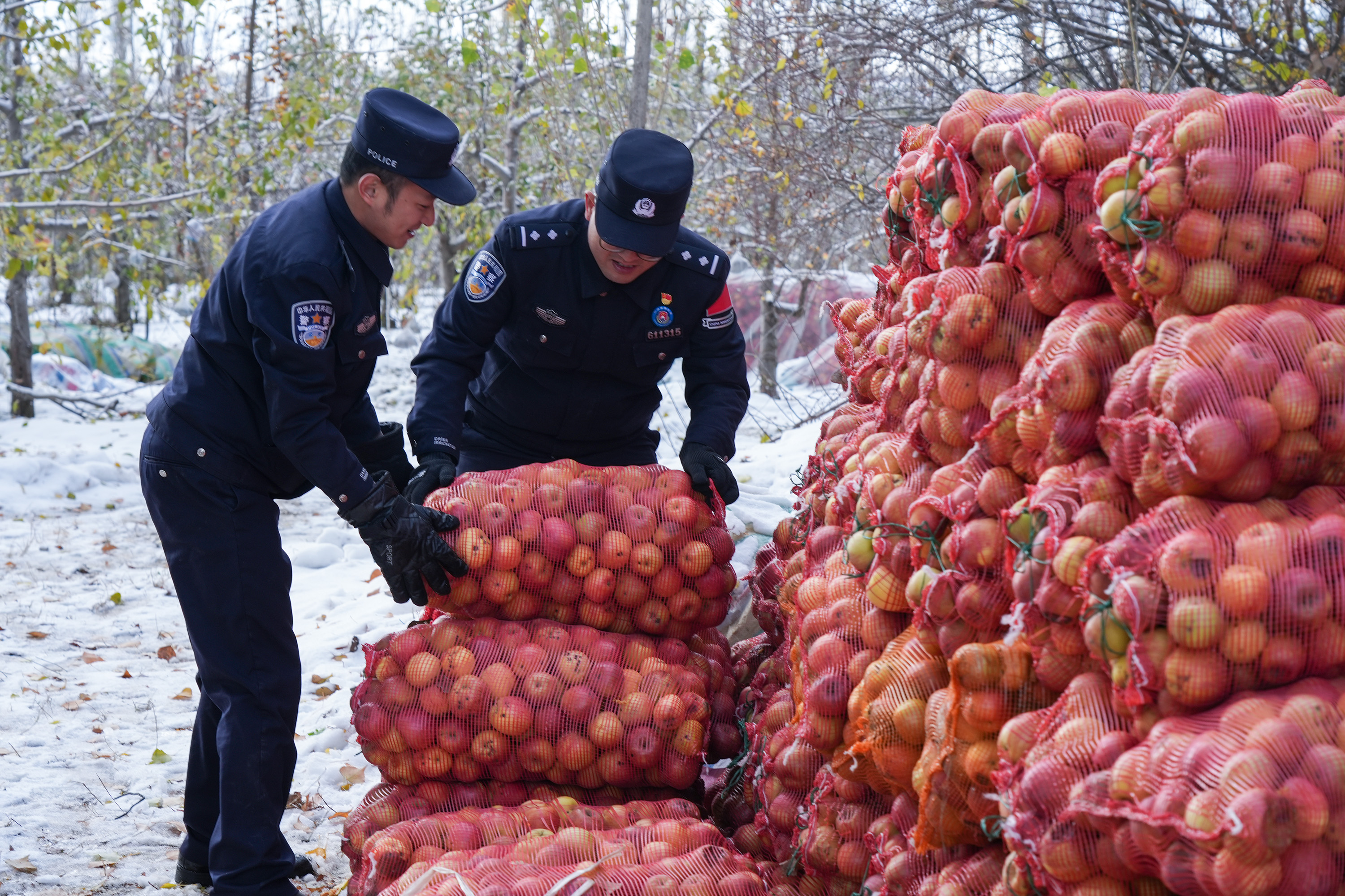 图片6：民警帮助果农搬运苹果.jpg