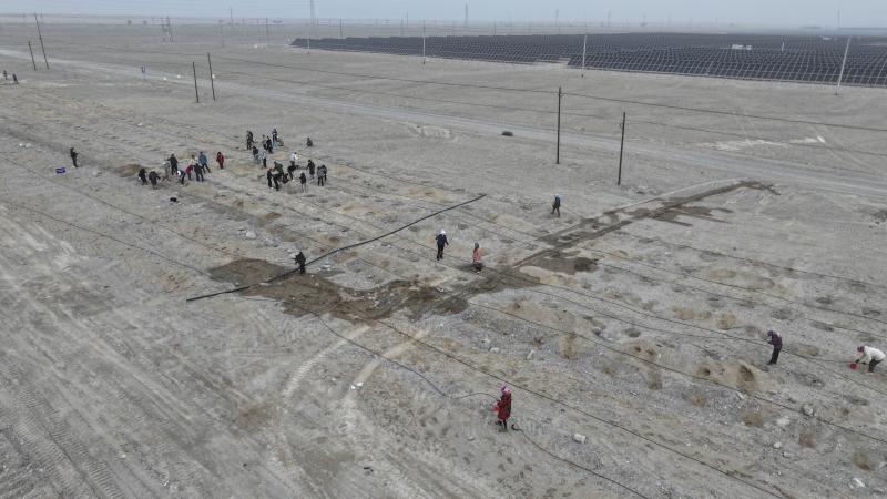 DJI_20250328114439_0249_D.jpg