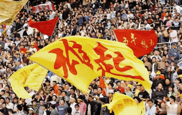 图片11.png