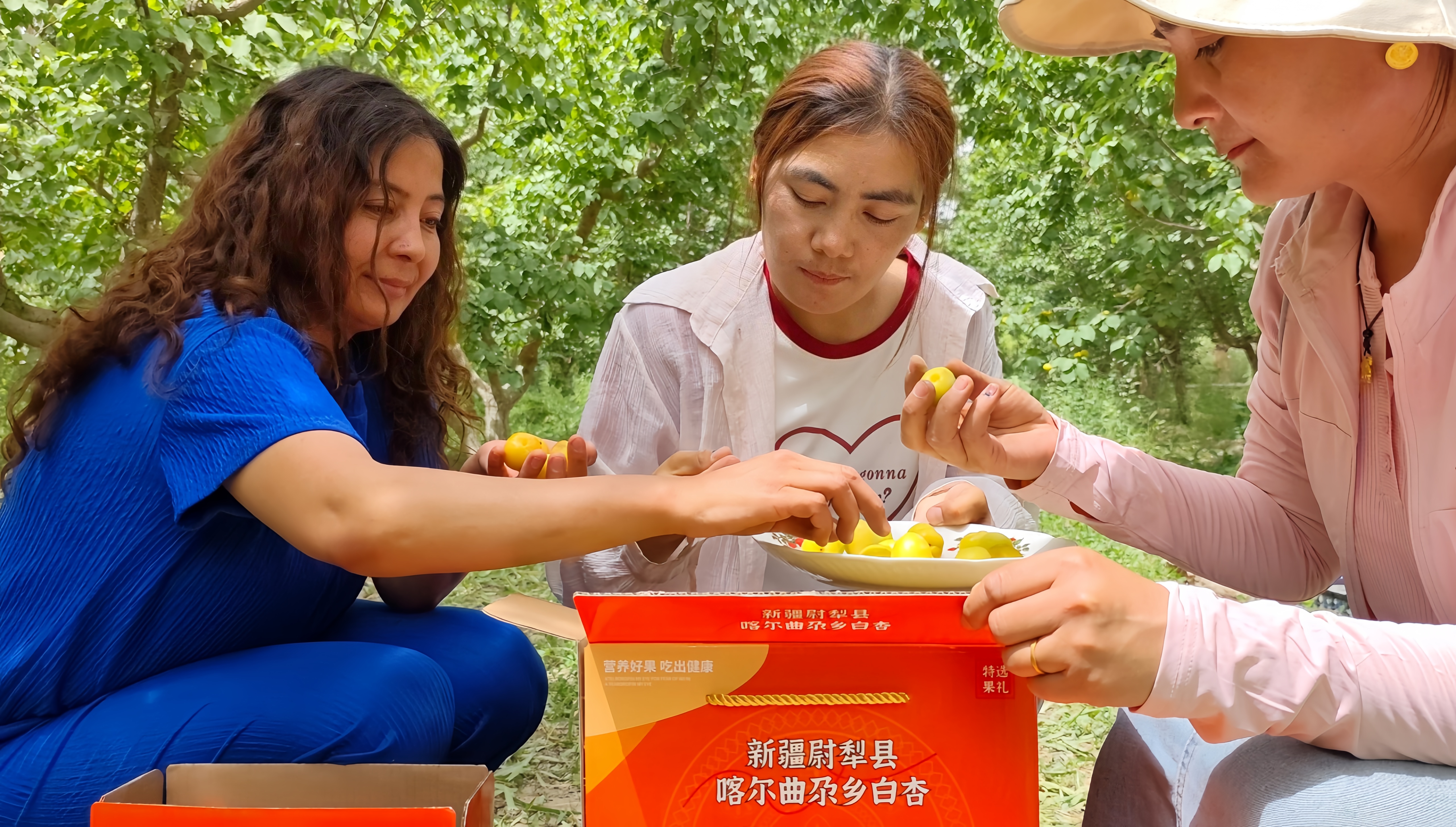 地处尉犁县西南部的喀尔曲尕乡，曾因地理位置偏远、交通不畅、信息闭塞，长期面临农产品销售困境，其中，以优质杏果为代表的特色农产品，因缺乏品牌化运作与稳定销售渠道，陷入“丰产不增收”的尴尬局面，成为制约当地群众增收致富的瓶颈。.jpg