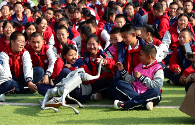 图片12.png