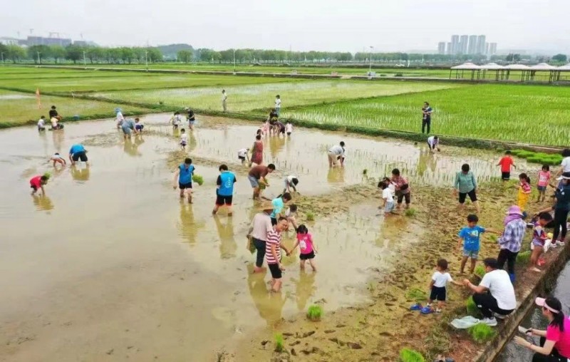图片 8.jpg