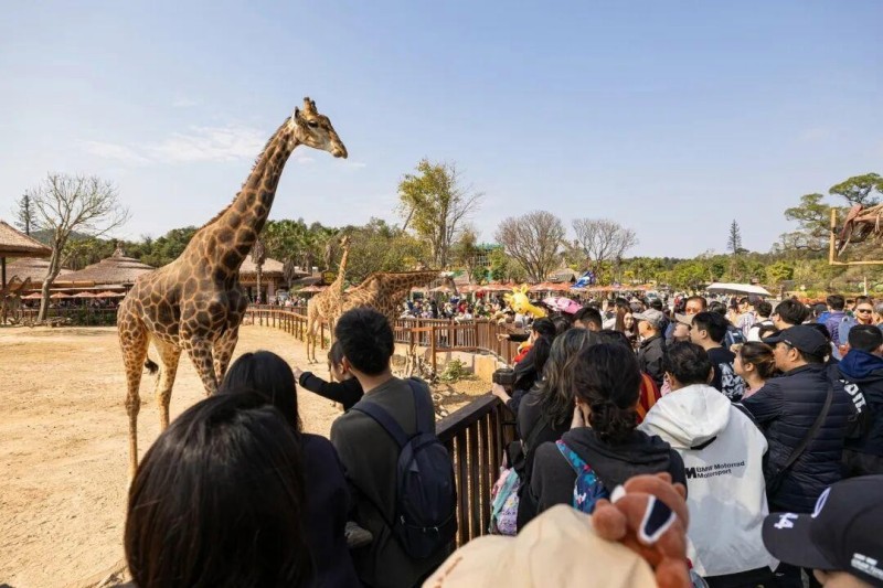 图片 9.jpg
