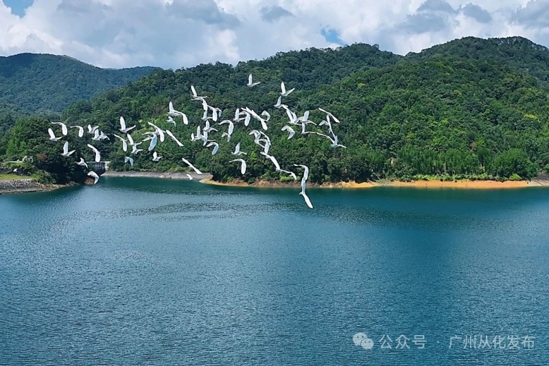 图片 2.jpg
