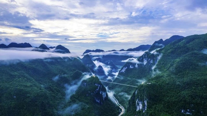 图片 5.jpg