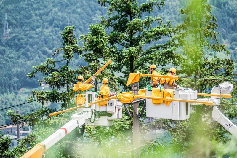 国网三明供电公司大力推行不停电作业，压减户均停电时长（陈志涛 摄）1.jpg