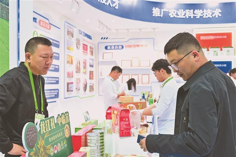 科技小院成果展示。黑龙江日报记者李鹏举摄