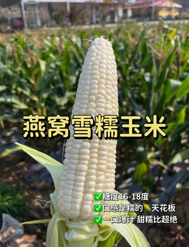 图片 2(3).jpg