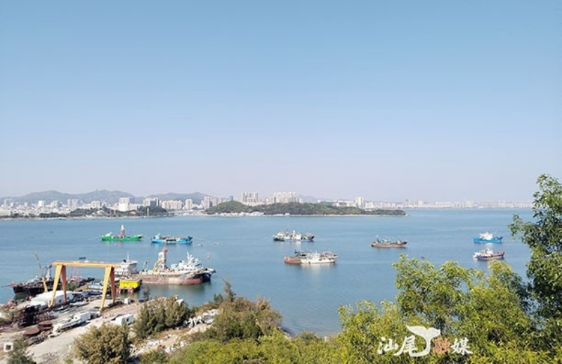 图片 1.jpg