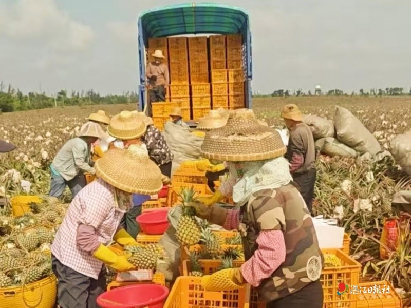 图片 1.jpg