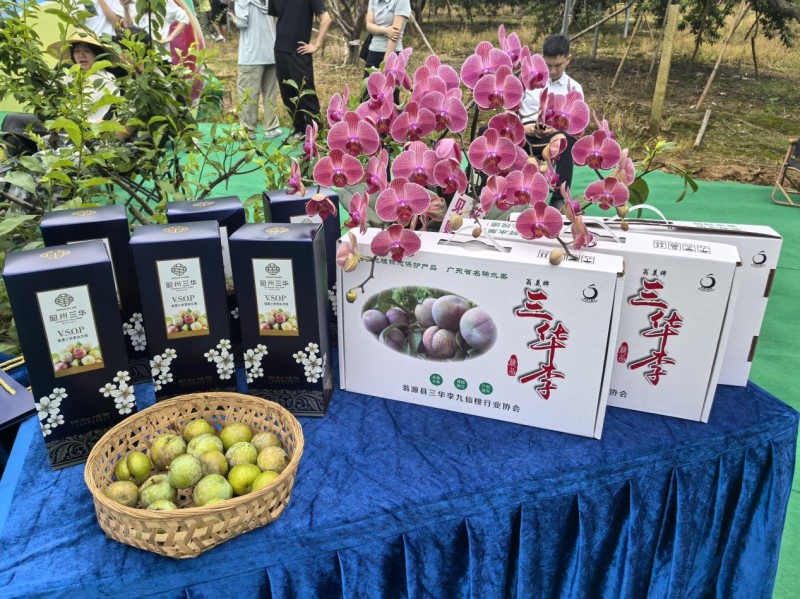 图片 4.jpg