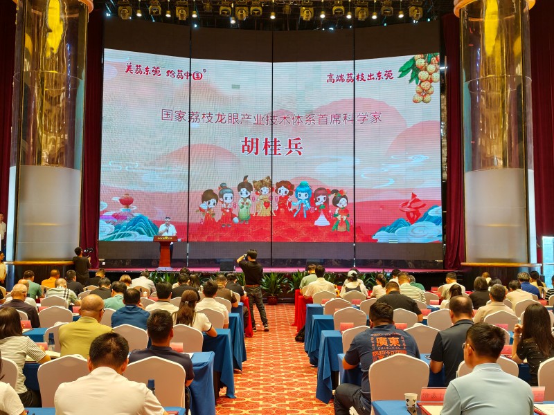 微信图片_2026-06-15_201738_955.jpg