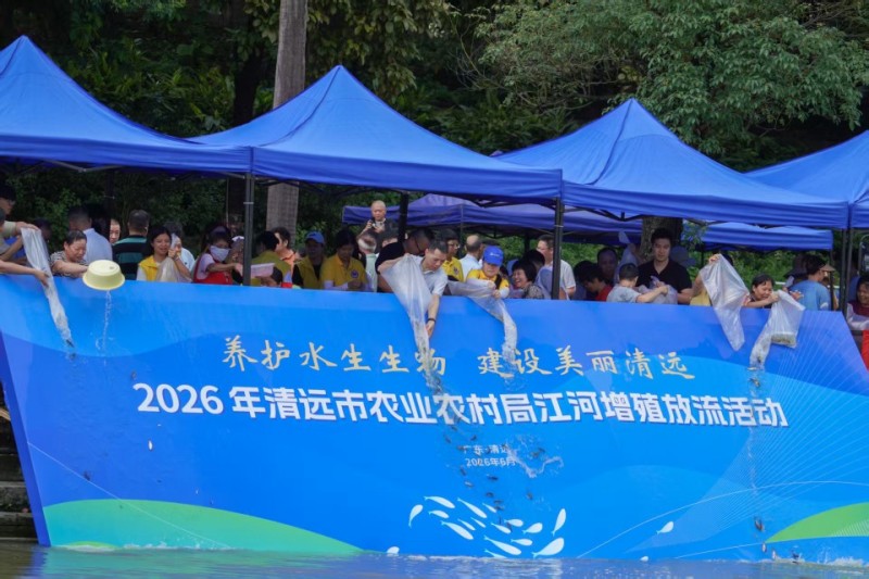 图片 4.jpg