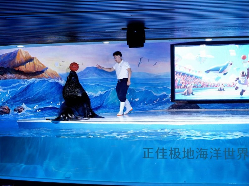 图片 7.jpg