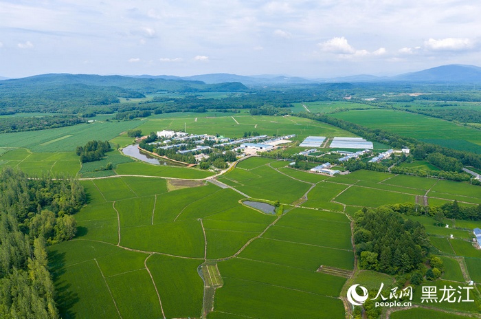 7月的北星村。人民网记者徐成龙摄